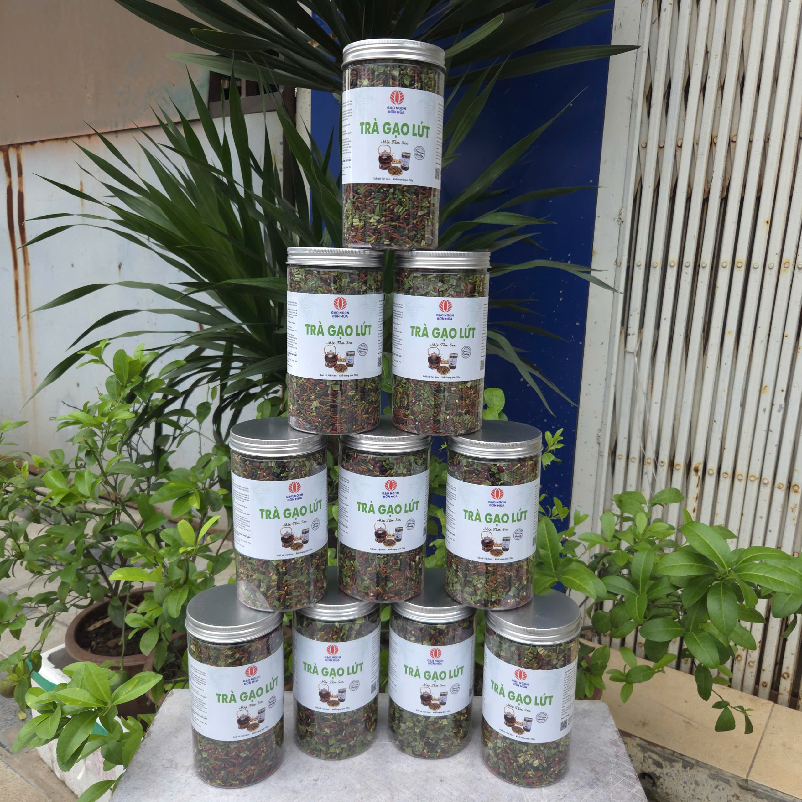 https://gaongonbonmua.com/z6963918389239_6e005cdbebc5f9e25cf2d0e05d352f1d - Sao chép - Sao chép